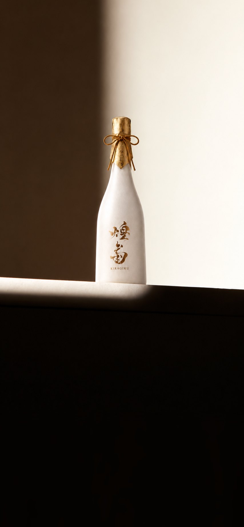 煌菊「天」